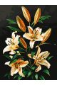 Картина по номерам без подрамника «Букет лилий» 130x100 см