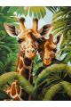 Картина по номерам без подрамника «Два жирафа» 80x60 см