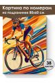 Картина по номерам на подрамнике «Велоспорт» 80x60 см