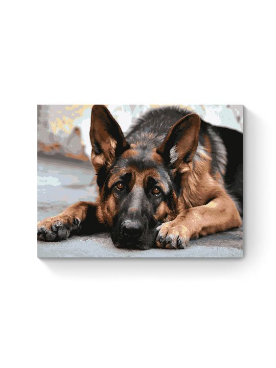 Картина по номерам на подрамнике «Овчарка» 90x70 см