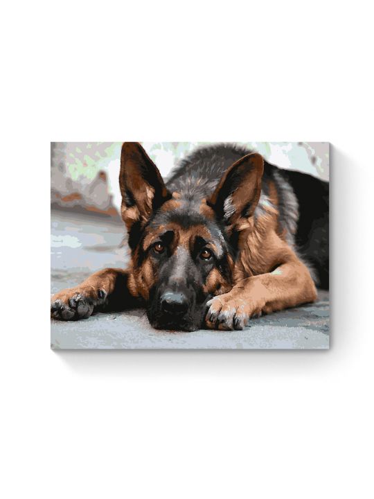 Картина по номерам на подрамнике «Овчарка» 80x60 см