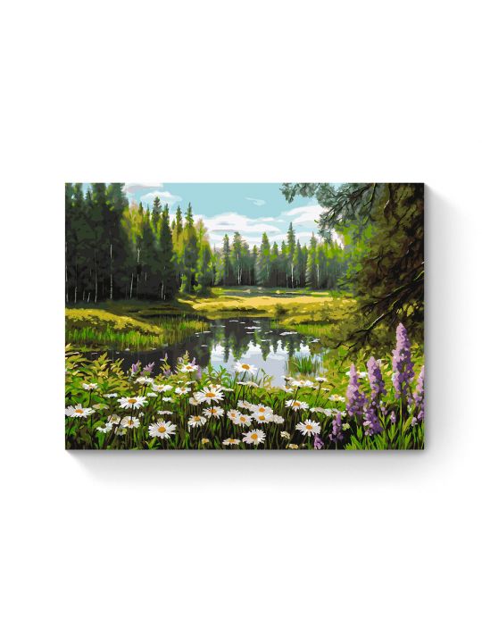 Картина по номерам на подрамнике «Цветочный луг» 90x70 см