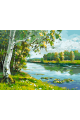 Картина по номерам на подрамнике «Береза у реки» 25x20 см