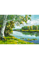 Картина по номерам без подрамника «Береза у реки» 25x20 см