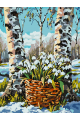 Картина по номерам на подрамнике «Подснежники» 25x20 см