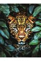 Картина по номерам без подрамника «Леопард» 35x25 см