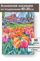 Алмазная мозаика на подрамнике «Голландия» 40x30 см