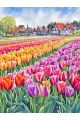 Алмазная мозаика без подрамника «Море тюльпанов» 90x70 см