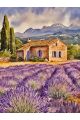 Алмазная мозаика без подрамника «Лавандовое поле» 40x30 см