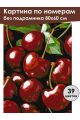 Картина по номерам без подрамника «Спелая вишня» 80x60 см