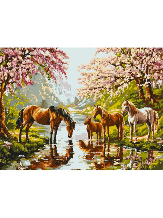 Картина по номерам без подрамника «Дикие лошади» 80x60 см