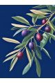 Алмазная мозаика без подрамника «Ветка Оливы» 130x100 см