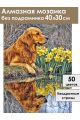 Алмазная мозаика без подрамника «Голден ретривер» 40x30 см
