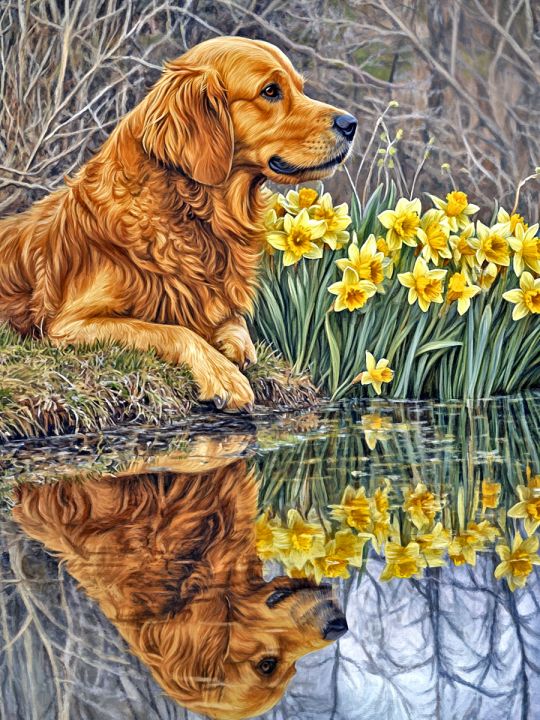 Алмазная мозаика без подрамника «Голден ретривер» 130x100 см