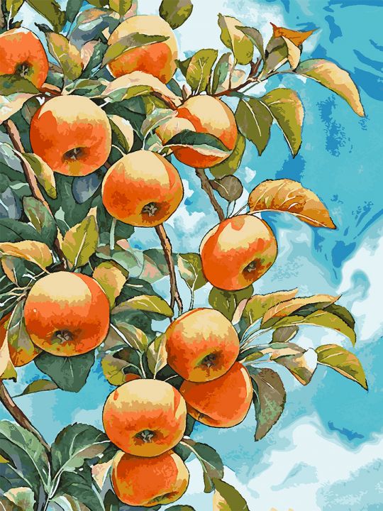 Картина по номерам без подрамника «Спелые яблоки» 130x100 см