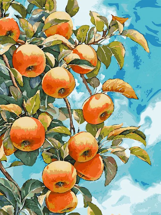 Картина по номерам без подрамника «Спелые яблоки» 80x60 см