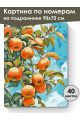 Картина по номерам на подрамнике «Спелые яблоки» 90x70 см