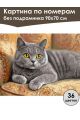 Картина по номерам без подрамника «Кот Британец» 90x70 см