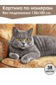 Картина по номерам без подрамника «Кот Британец» 130x100 см