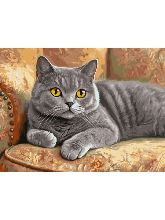 Картина по номерам без подрамника «Кот Британец» 130x100 см
