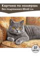 Картина по номерам без подрамника «Кот Британец» 80x60 см