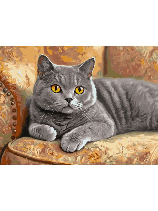 Картина по номерам без подрамника «Кот Британец» 80x60 см