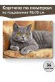 Картина по номерам на подрамнике «Кот Британец» 90x70 см