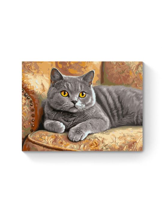 Картина по номерам на подрамнике «Кот Британец» 80x60 см