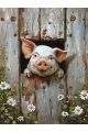 Картина по номерам без подрамника «Поросёнок» 130x100 см