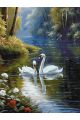 Картина по номерам без подрамника «Белые лебеди» 80x60 см