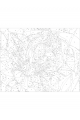 Картина по номерам без подрамника «Оцелот кот» 25x20 см