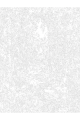 Картина по номерам на подрамнике «Летний лес» 80x60 см