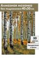Алмазная мозаика без подрамника «Берёзовый лес» 40x30 см