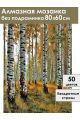 Алмазная мозаика без подрамника «Берёзовый лес» 80x60 см