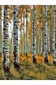 Алмазная мозаика без подрамника «Берёзовый лес» 60x45 см
