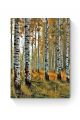Алмазная мозаика на подрамнике «Берёзовый лес» 70x50 см
