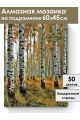 Алмазная мозаика на подрамнике «Берёзовый лес» 60x45 см