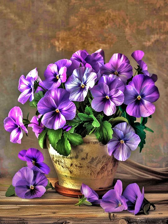 Алмазная мозаика без подрамника «Букетик виолы» 50x40 см