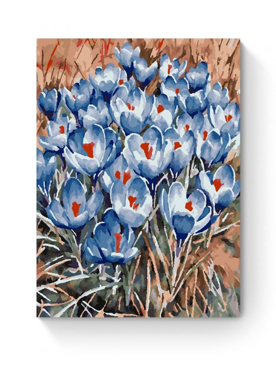 Картина по номерам на подрамнике «Крокусы» 25x20 см