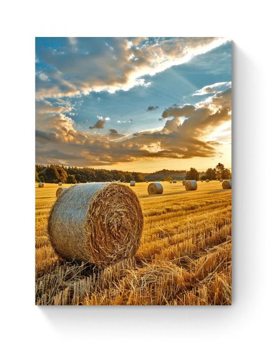 Алмазная мозаика на подрамнике «Пшеничное поле» 40x30 см