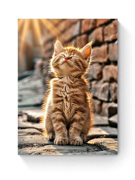 Алмазная мозаика на подрамнике «Рыжий лучик» 50x40 см