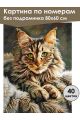 Картина по номерам без подрамника «Мейн-кун» 80x60 см