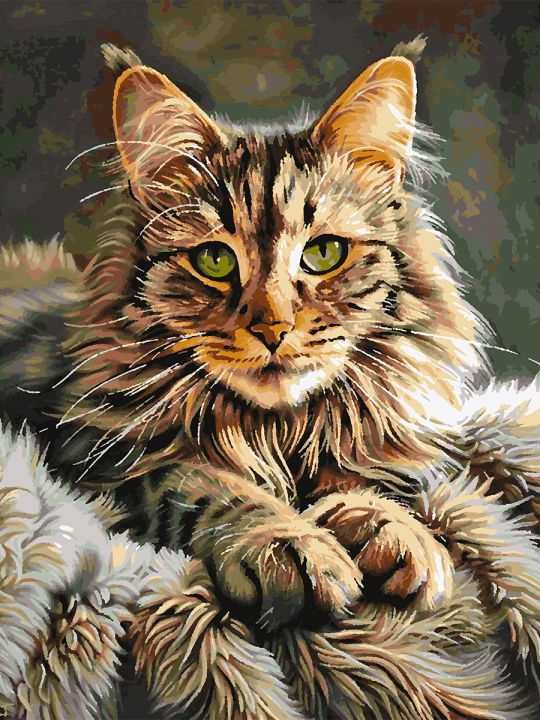 Картина по номерам без подрамника «Мейн-кун» 80x60 см