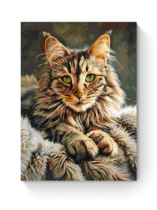 Картина по номерам на подрамнике «Мейн-кун» 80x60 см