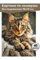 Картина по номерам без подрамника «Мейн-кун» 90x70 см