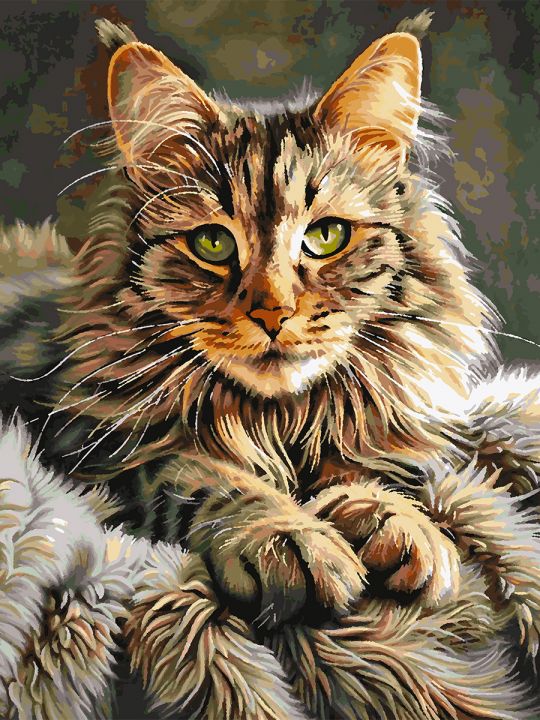Картина по номерам без подрамника «Мейн-кун» 90x70 см