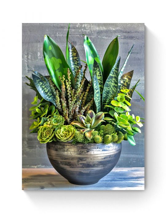 Алмазная мозаика на подрамнике «Сансевиерия» 80x60 см