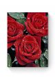 Алмазная мозаика на подрамнике «Красные розы» 70x50 см