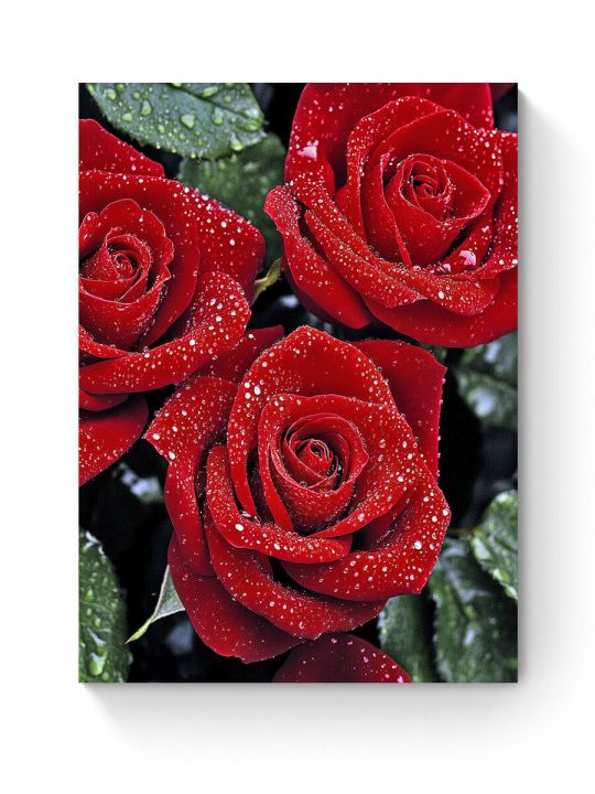 Алмазная мозаика на подрамнике «Красные розы» 50x40 см