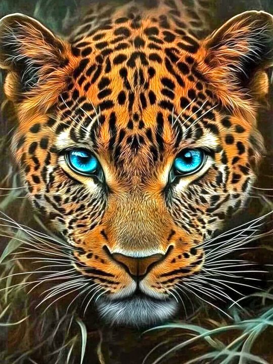 Алмазная мозаика без подрамника «Взгляд леопарда» 25x20 см